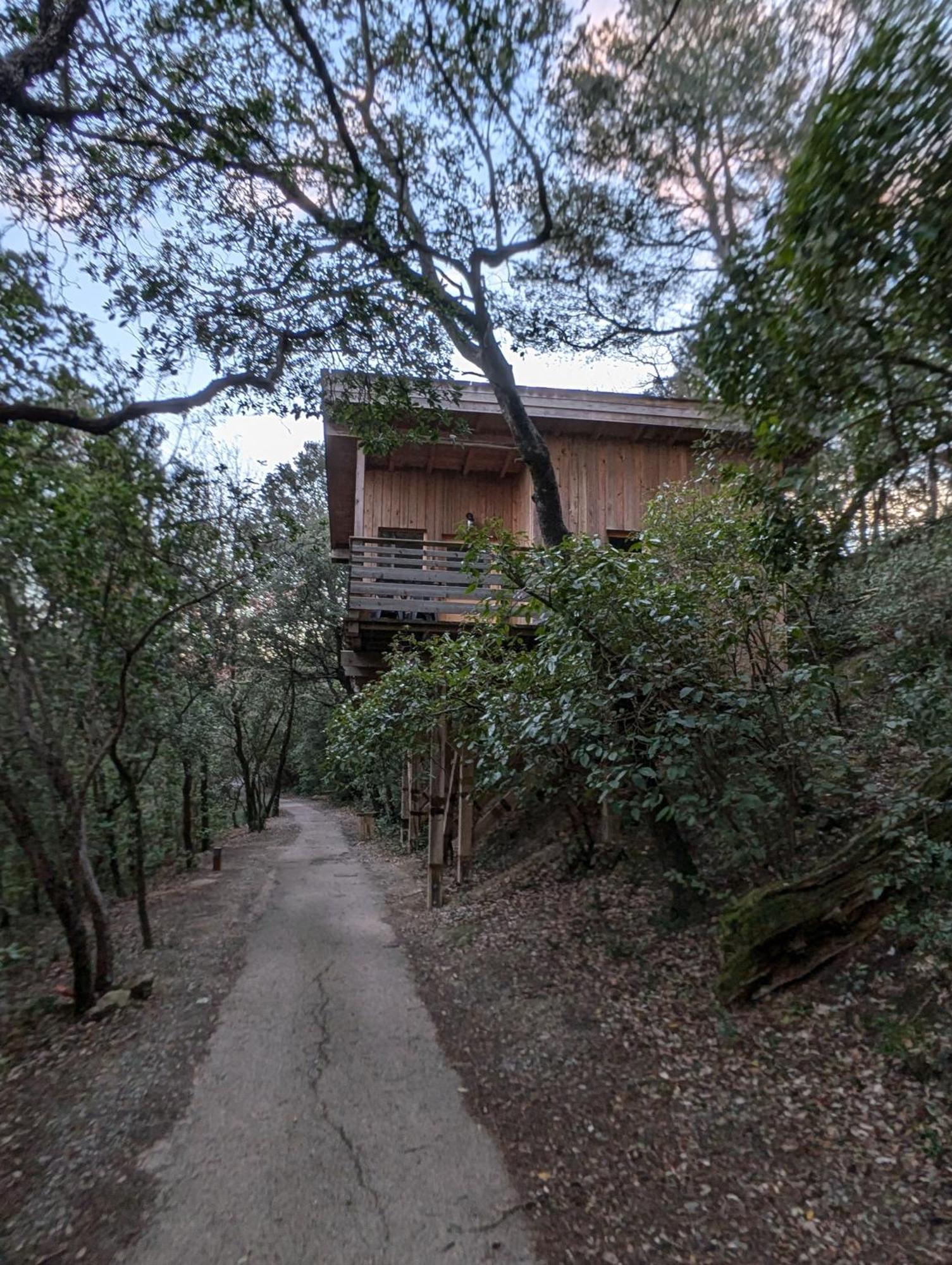 Les Cabanes Dans Les Bois Logis Hotel Villedubert Εξωτερικό φωτογραφία