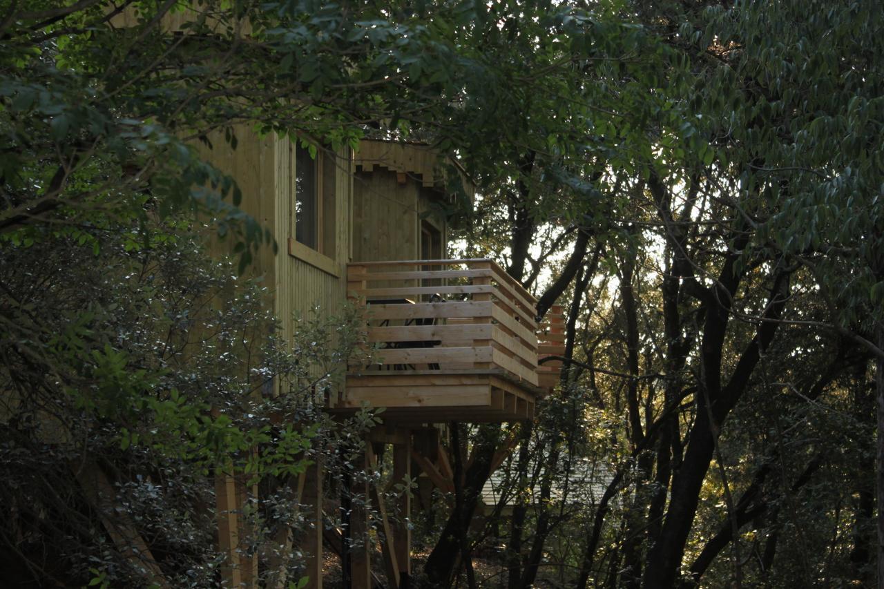 Les Cabanes Dans Les Bois Logis Hotel Villedubert Δωμάτιο φωτογραφία