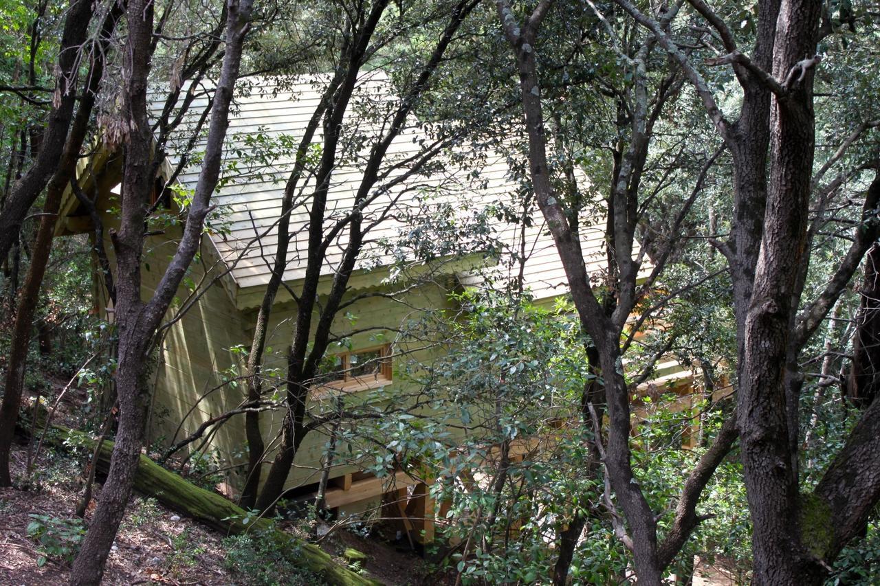 Les Cabanes Dans Les Bois Logis Hotel Villedubert Εξωτερικό φωτογραφία