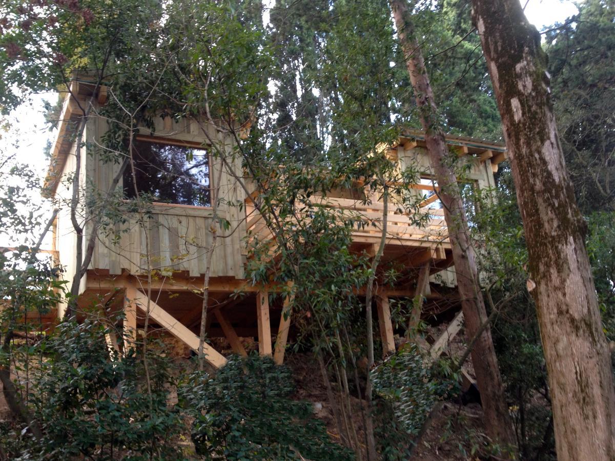 Les Cabanes Dans Les Bois Logis Hotel Villedubert Δωμάτιο φωτογραφία