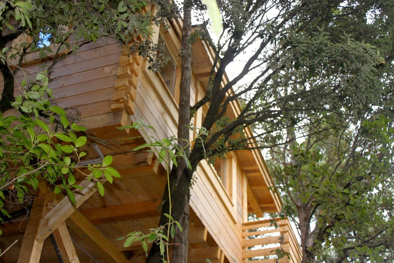 Les Cabanes Dans Les Bois Logis Hotel Villedubert Εξωτερικό φωτογραφία