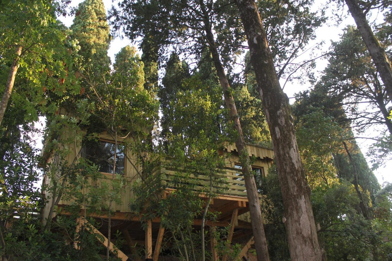 Les Cabanes Dans Les Bois Logis Hotel Villedubert Δωμάτιο φωτογραφία