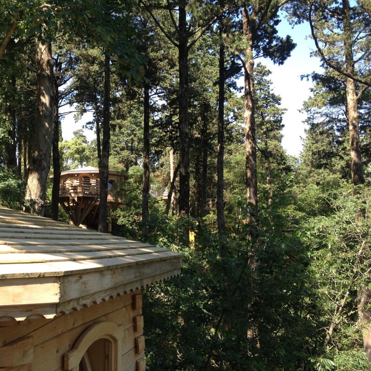 Les Cabanes Dans Les Bois Logis Hotel Villedubert Εξωτερικό φωτογραφία